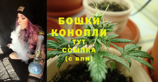 spice Горняк
