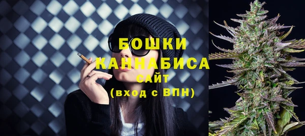 spice Горняк