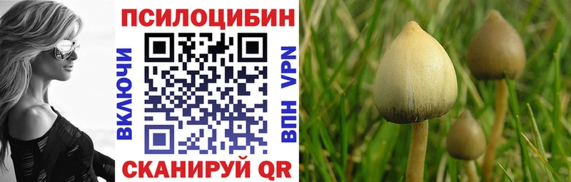 omg зеркало  закладка  Ершов  Псилоцибиновые грибы GOLDEN TEACHER 